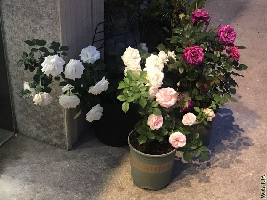 ΢��ͼƬ_20190618131319.jpg