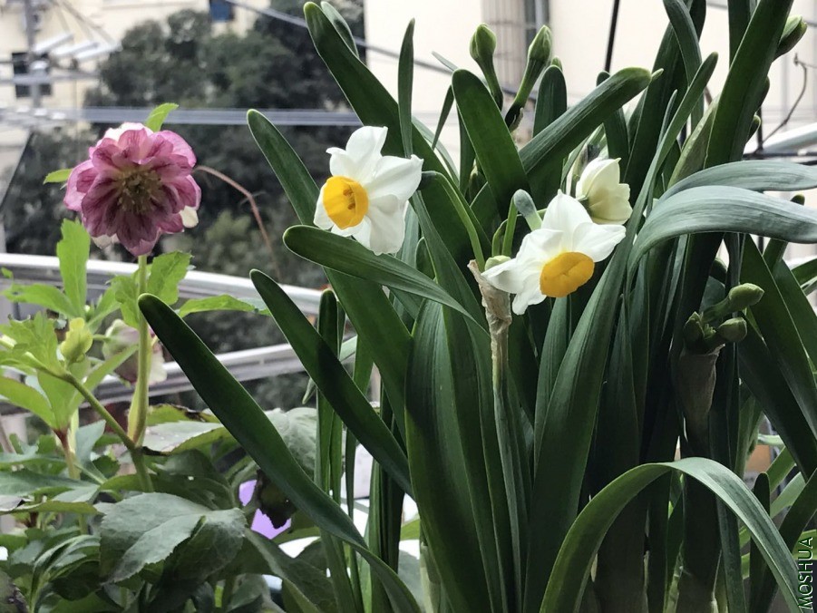 ΢��ͼƬ_20190618131331.jpg