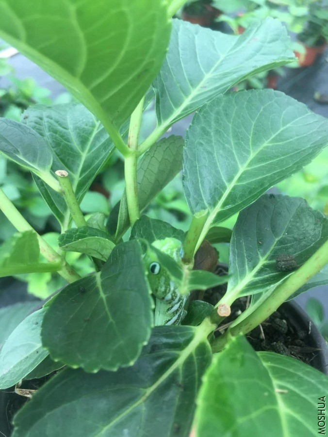 ΢��ͼƬ_20190618153706.jpg