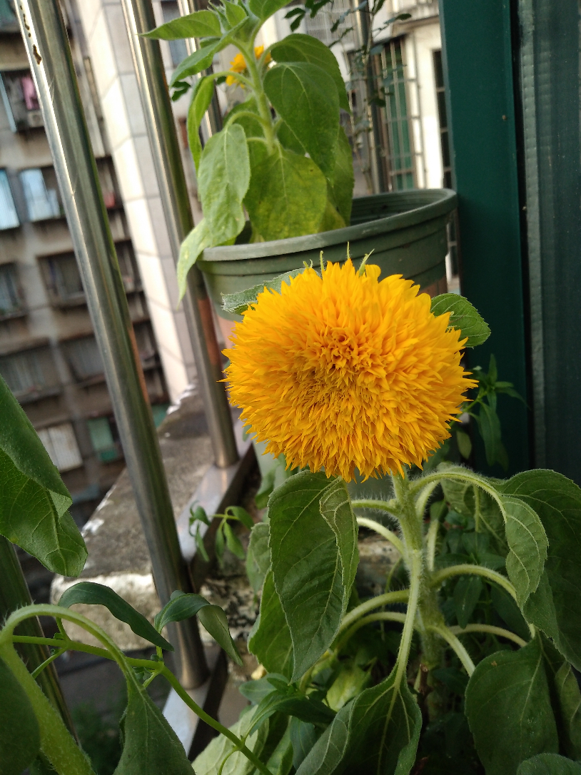 IMG_20190614_182620.jpg