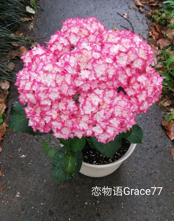571d3d93d2394581.jpg