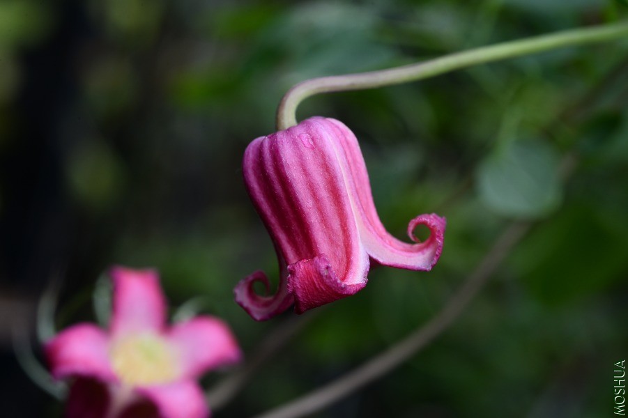 DSC_3572.JPG