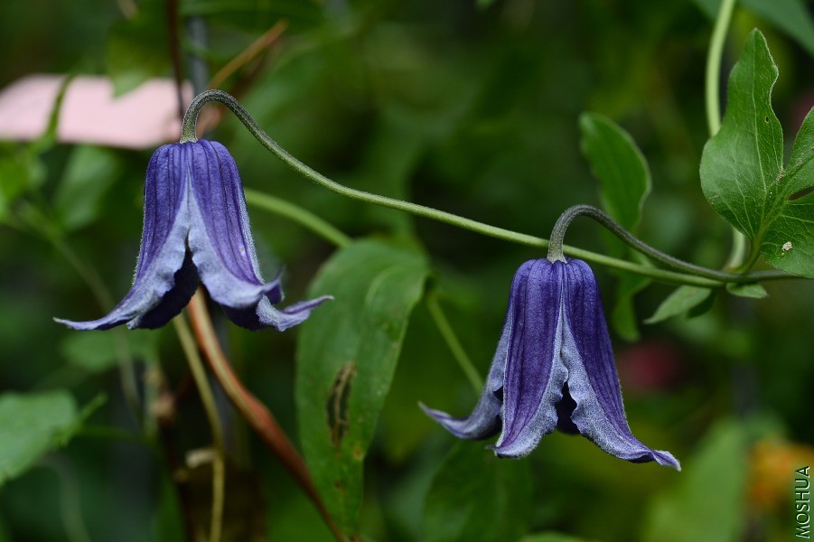 DSC_3578.JPG