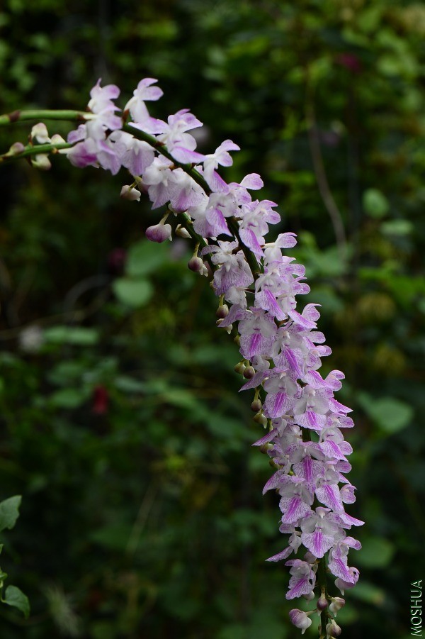 DSC_2401.JPG