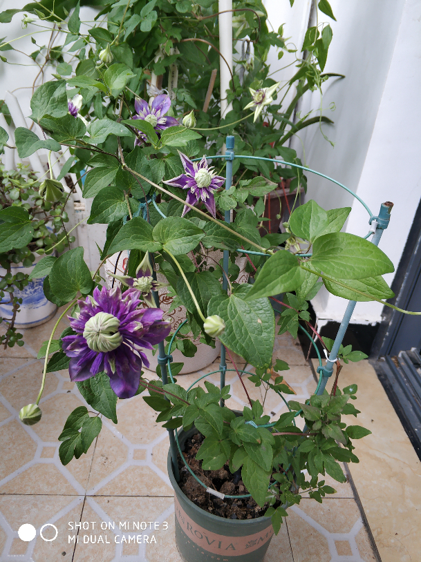 IMG_20190430_125018.jpg