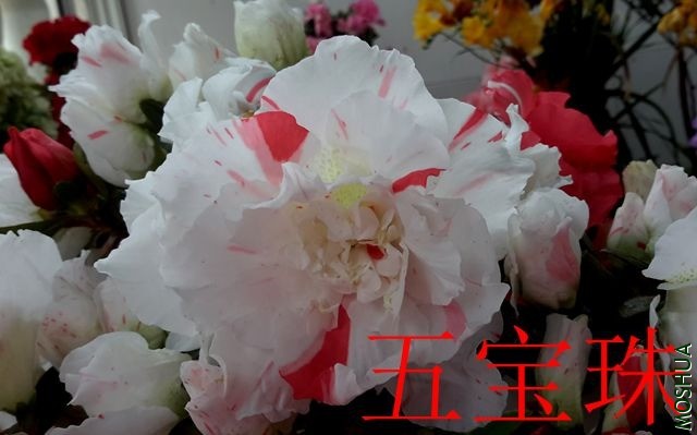 20190411_131002_����.jpg