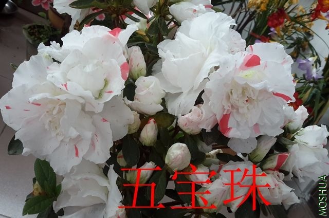 20190411_131012_����.jpg