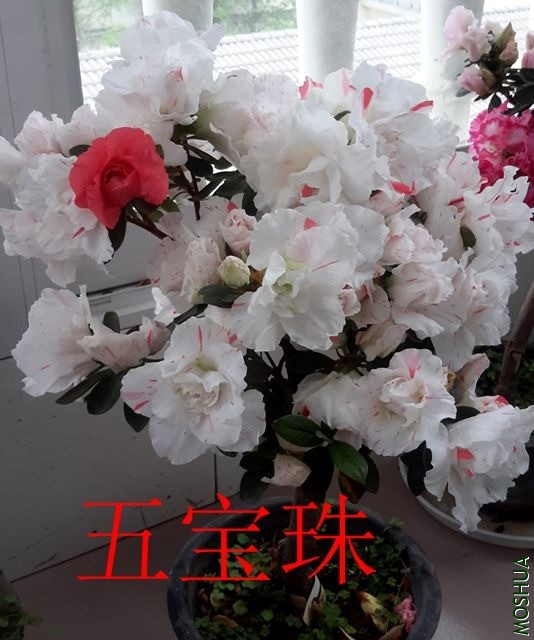 20190416_075707_����.jpg