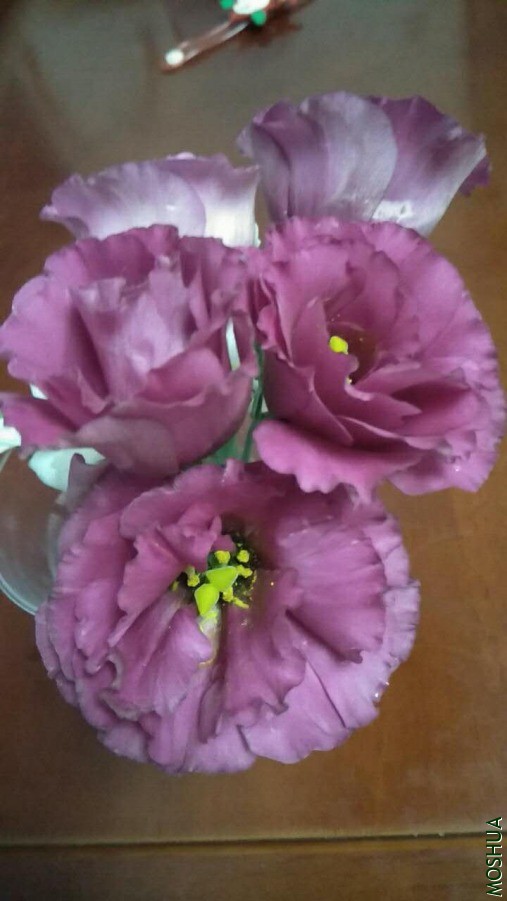 ΢��ͼƬ_20190626110400.jpg