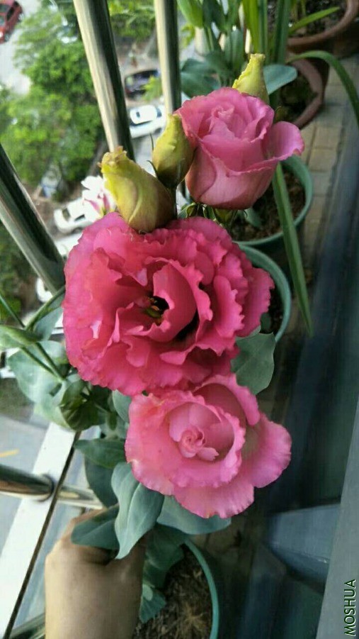 ΢��ͼƬ_20190626110411.jpg