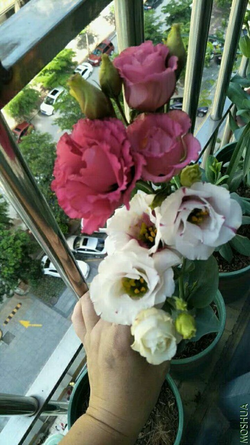 ΢��ͼƬ_20190626110419.jpg