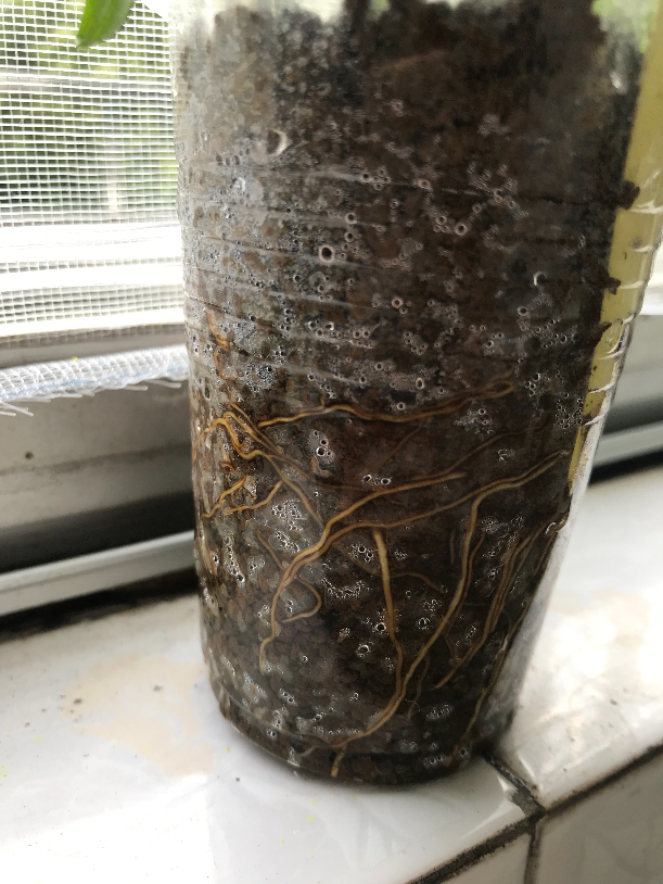 E59CD040-6412-4DE6-85AB-F0F0AC813CC8.jpeg