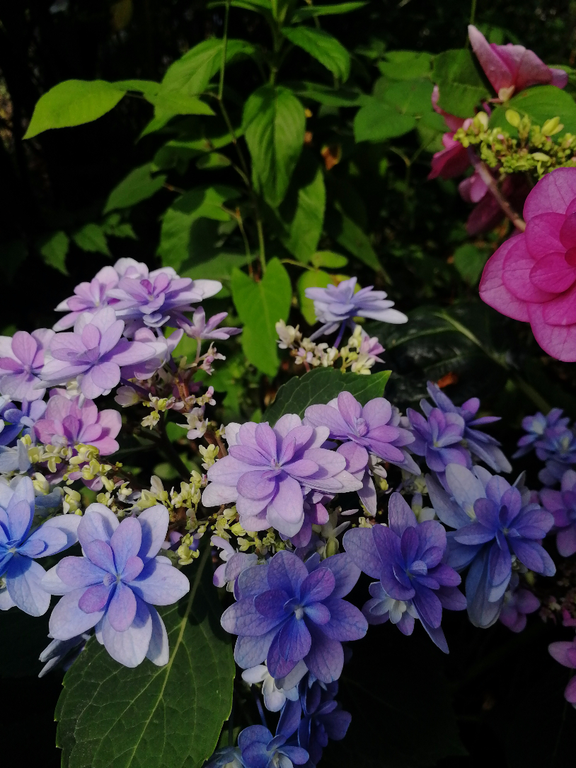 IMG_20190517_145353.jpg
