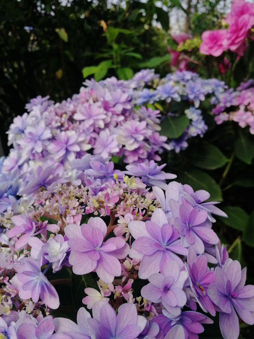 IMG_20190517_145333.jpg