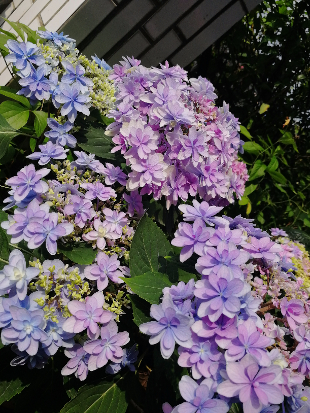 IMG_20190517_145507.jpg