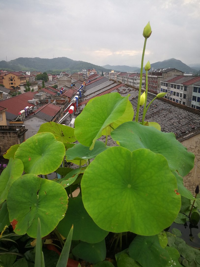IMG_20190630_180147.jpg