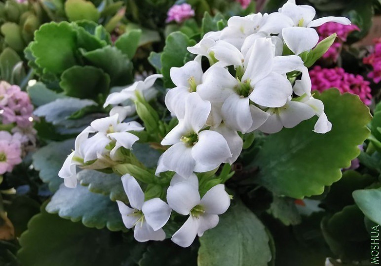 QQͼƬ20190701211043.jpg