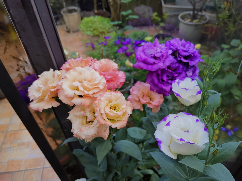 IMG_20190701_185540.jpg