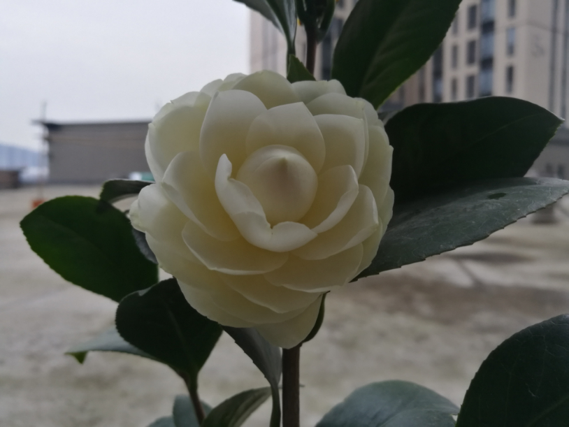 IMG_20190317_155345.jpg