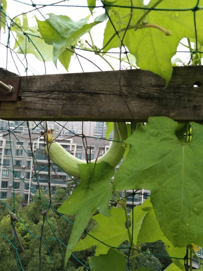 ΢��ͼƬ_20190704042317.jpg