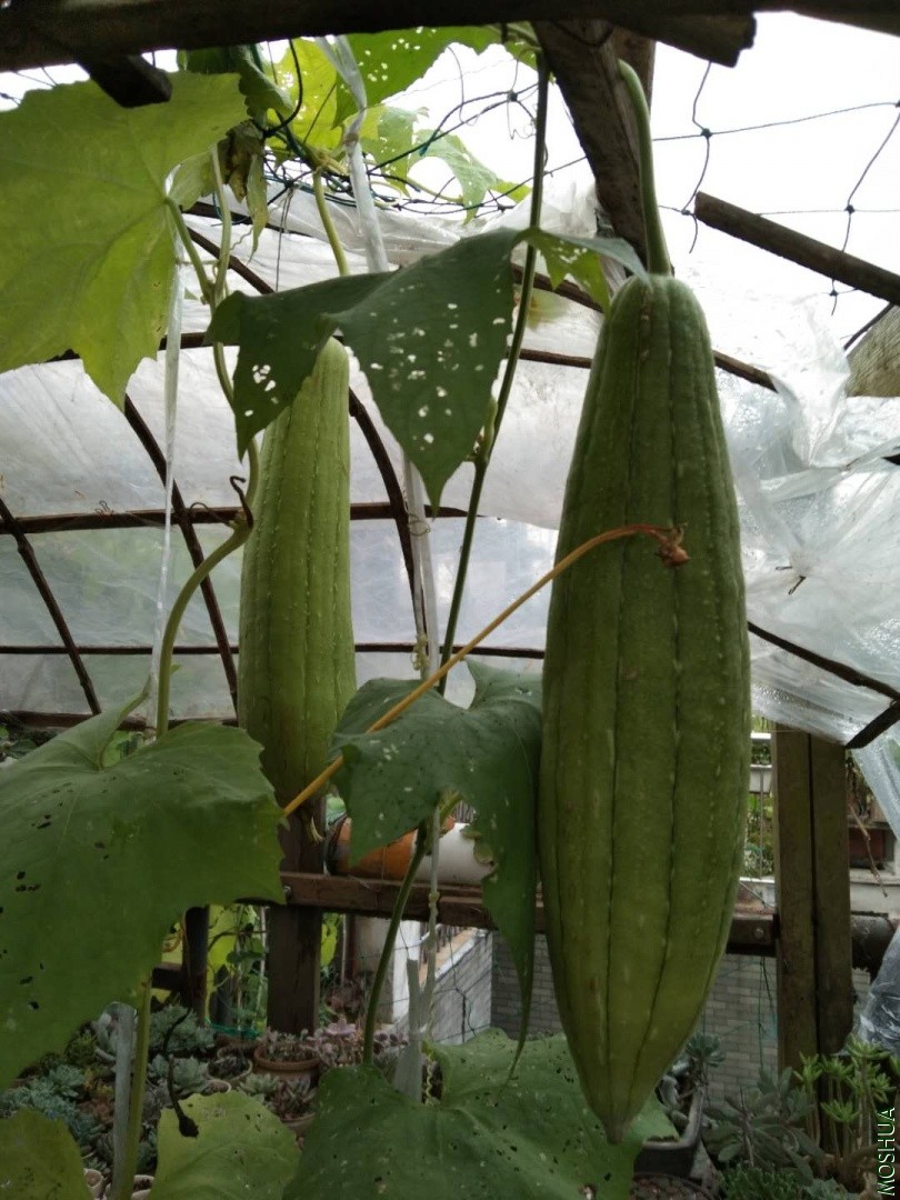 ΢��ͼƬ_20190704042320.jpg