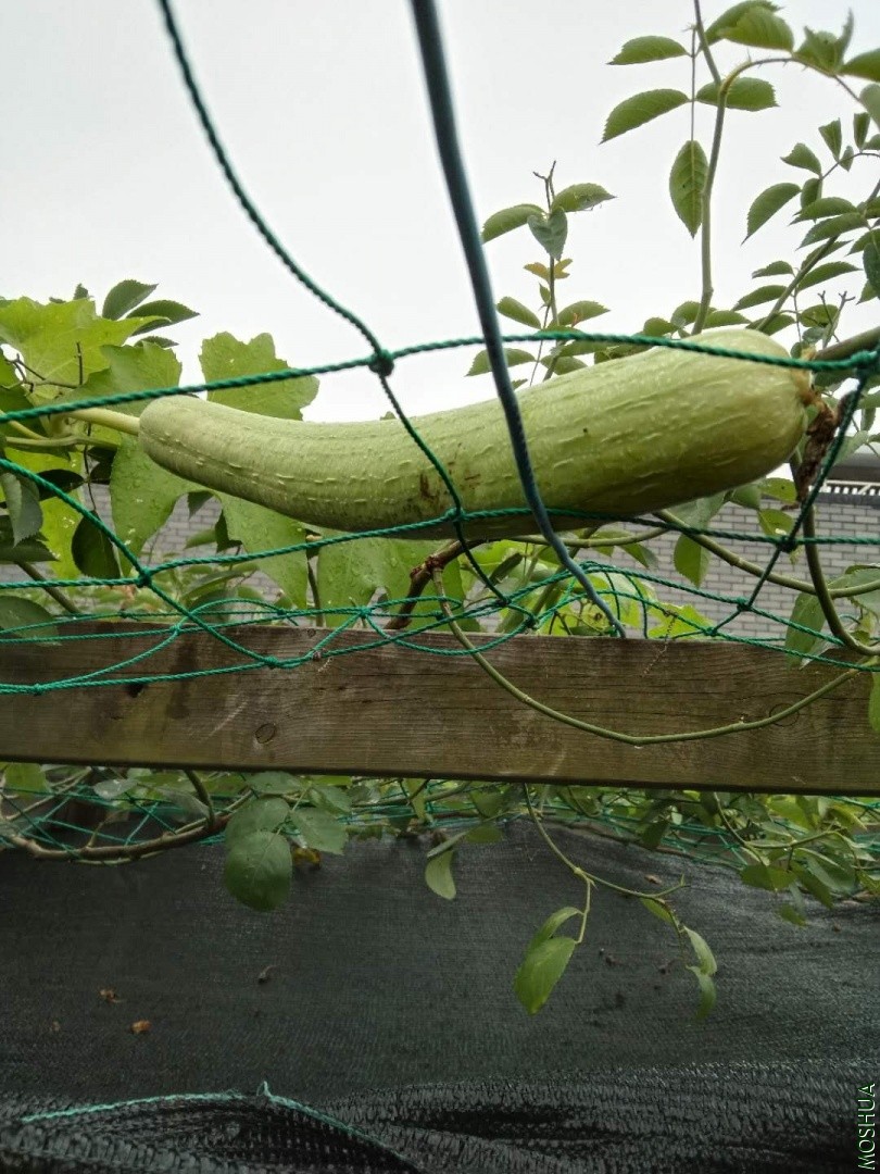 ΢��ͼƬ_20190704042334.jpg