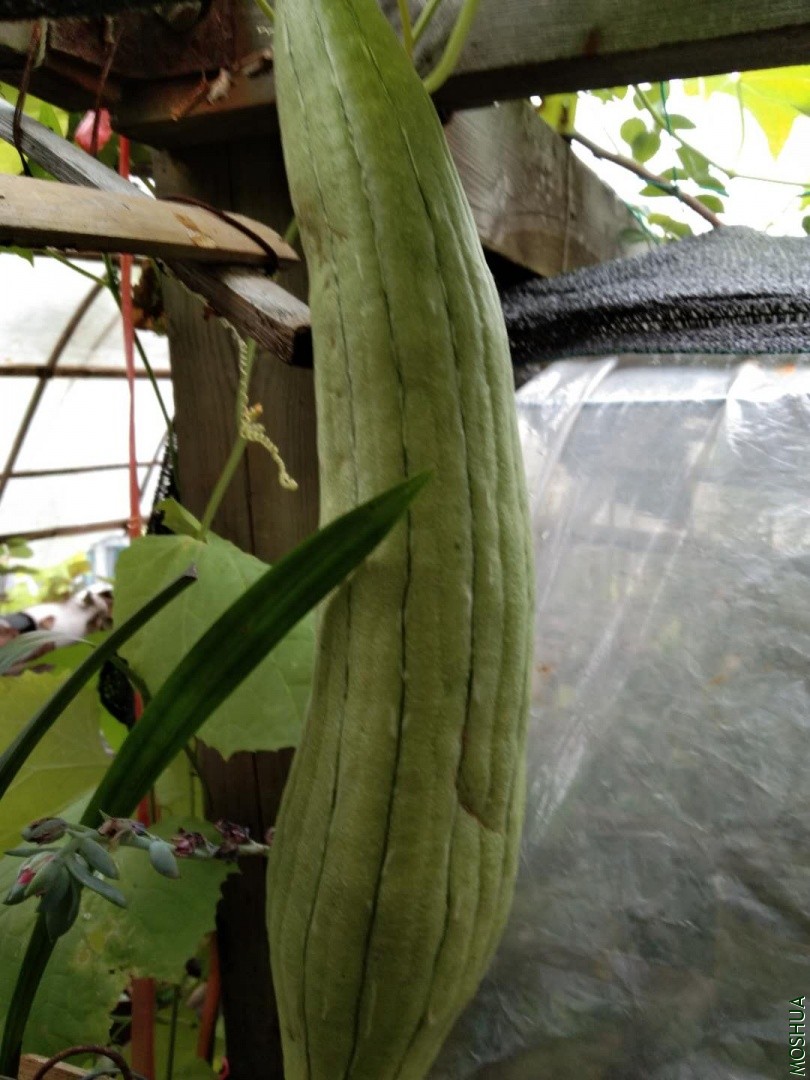 ΢��ͼƬ_20190704042340.jpg
