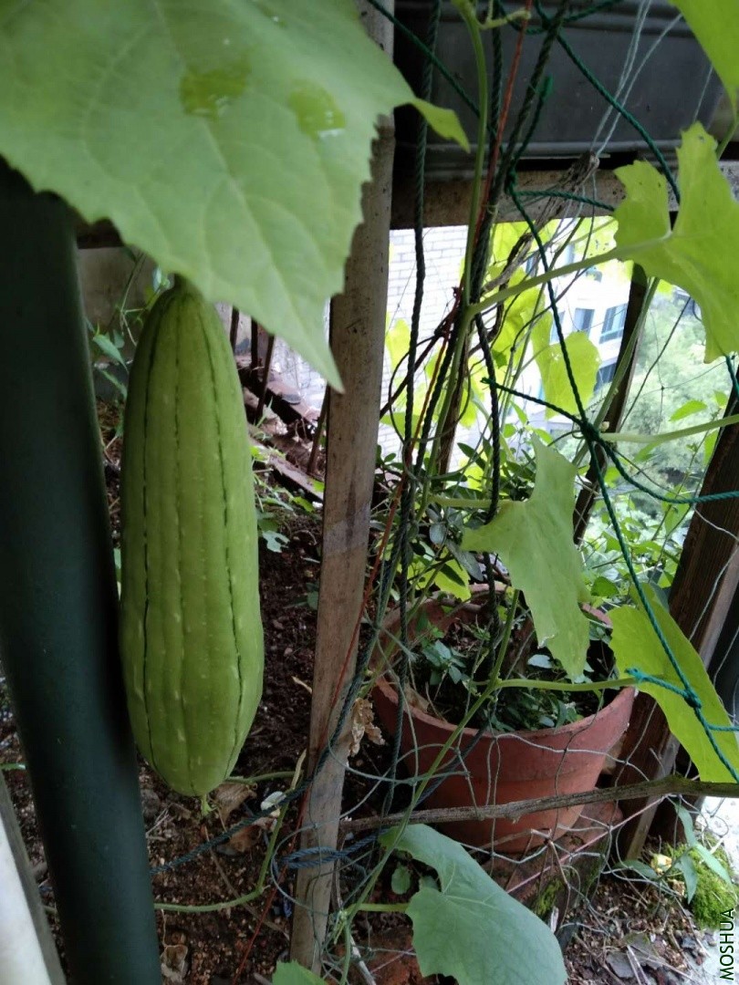 ΢��ͼƬ_20190704042343.jpg