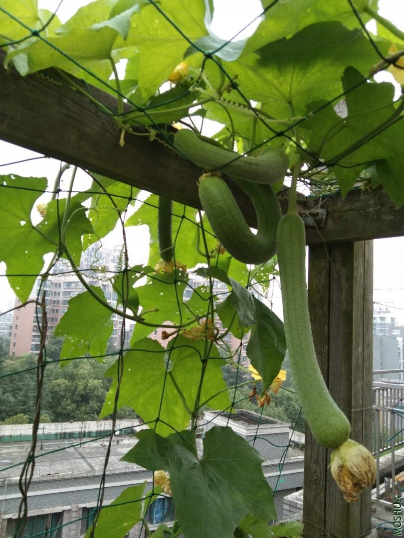 ΢��ͼƬ_20190704042347.jpg