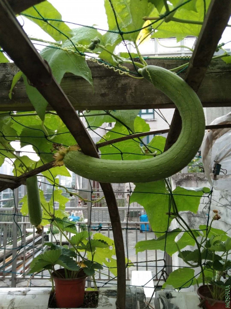 ΢��ͼƬ_20190704042358.jpg