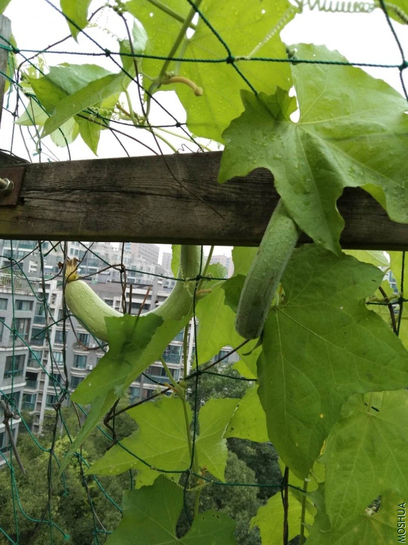 ΢��ͼƬ_20190704042401.jpg