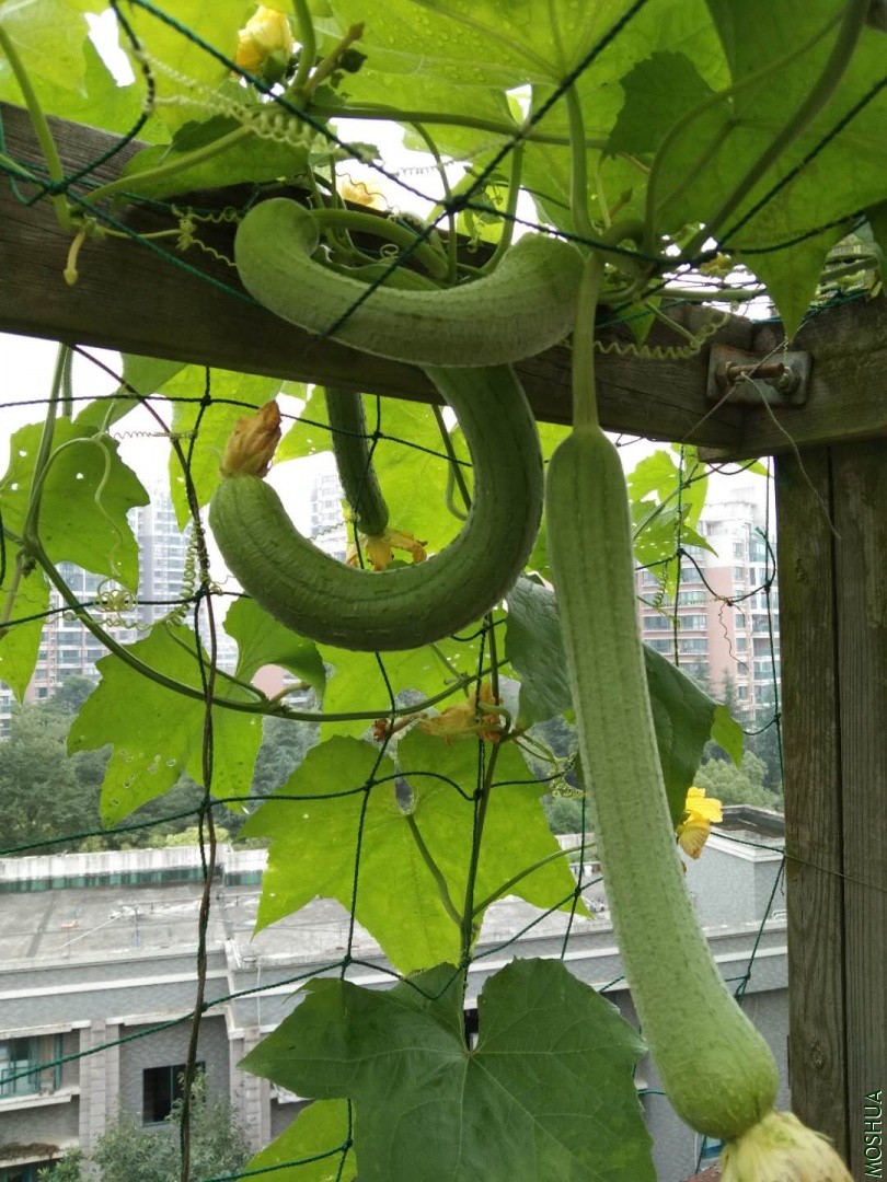 ΢��ͼƬ_20190704042404.jpg