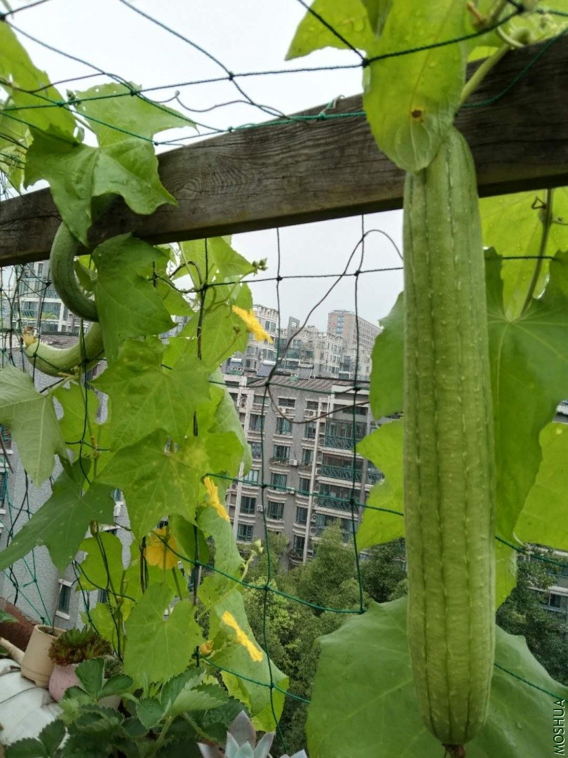 ΢��ͼƬ_20190704042409.jpg