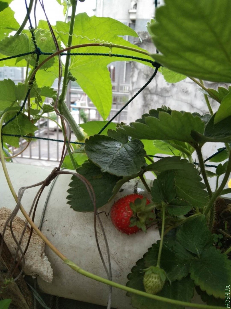 ΢��ͼƬ_20190704042303.jpg