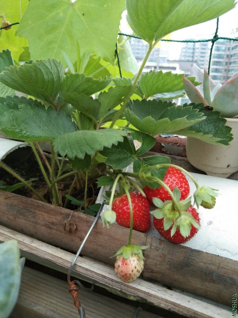 ΢��ͼƬ_20190704042306.jpg