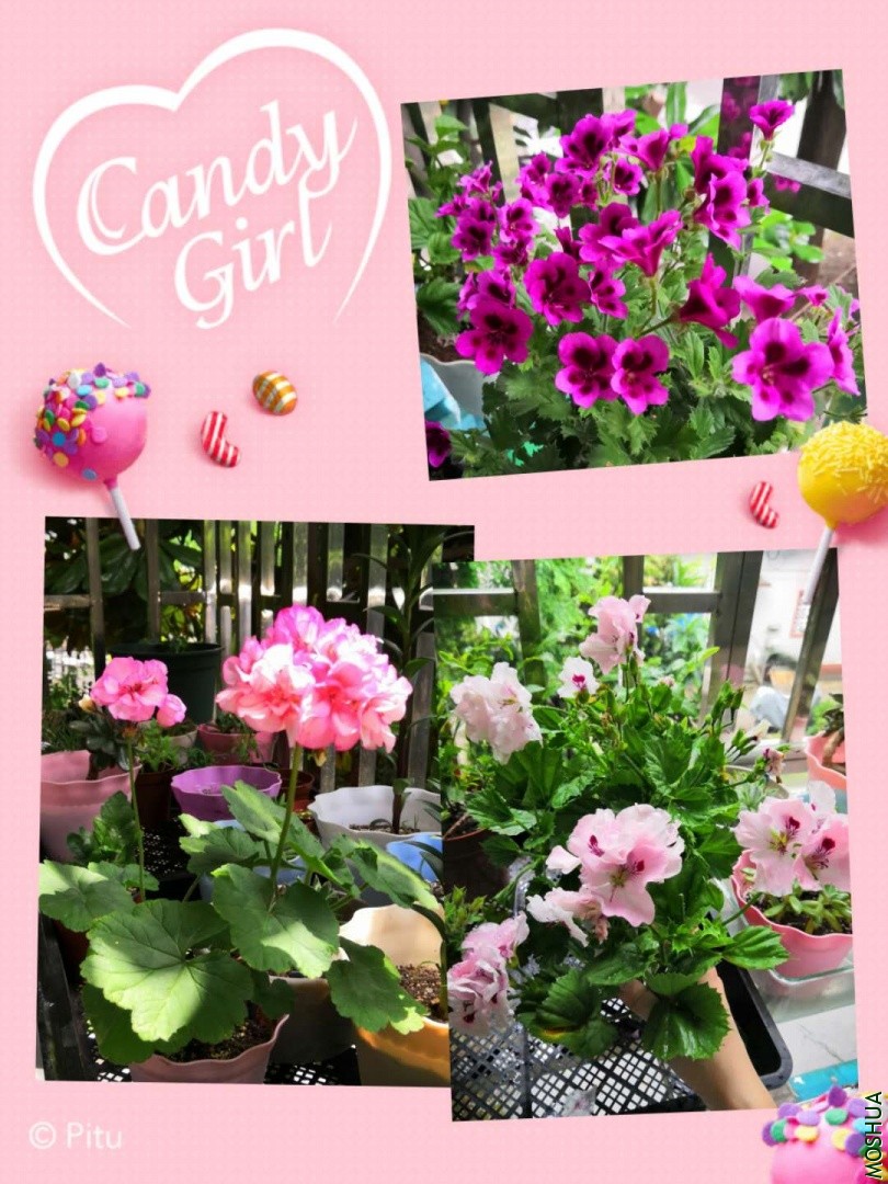 ΢��ͼƬ_20190704141756.jpg