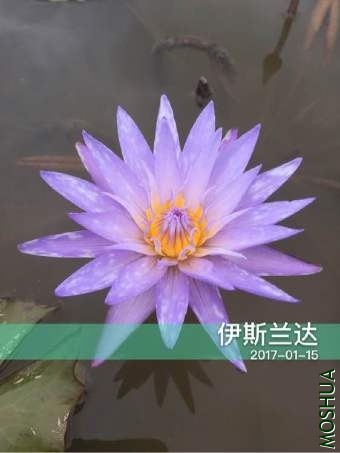 675B7515E598FF83BB0BAE5EA48D8405.jpg
