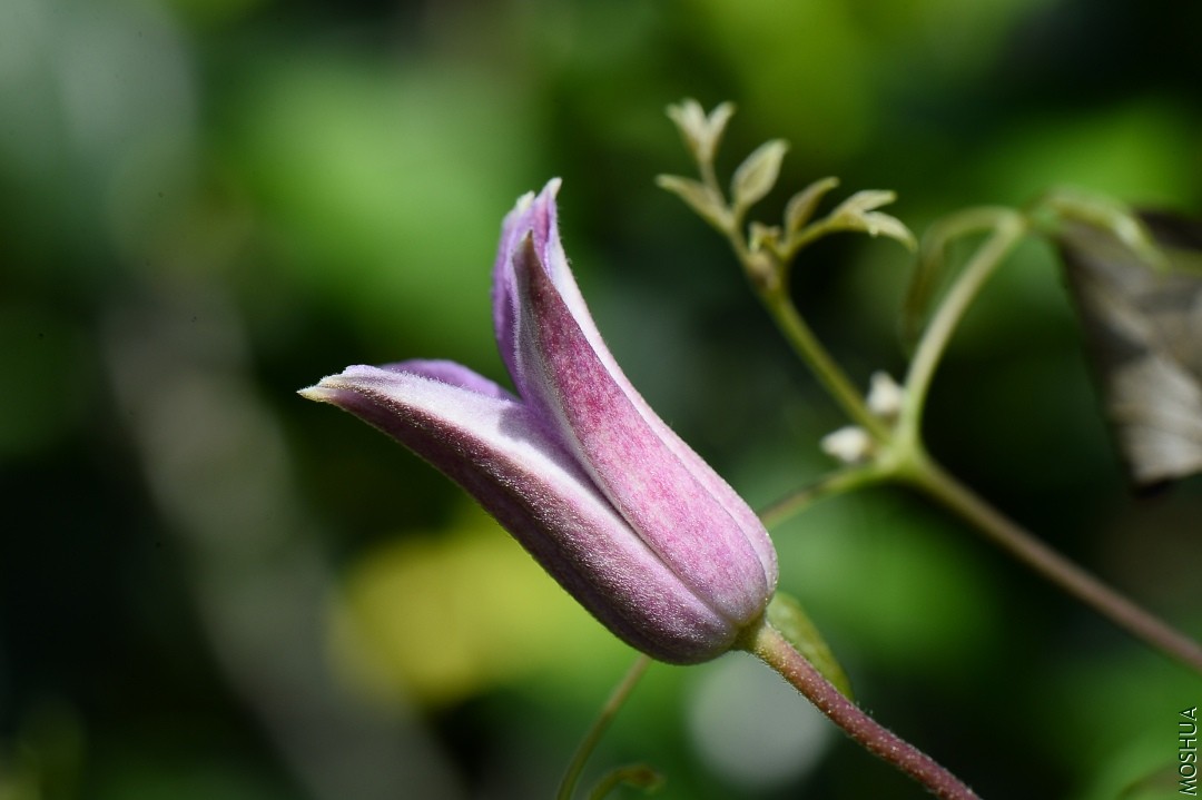 DSC_5127.JPG