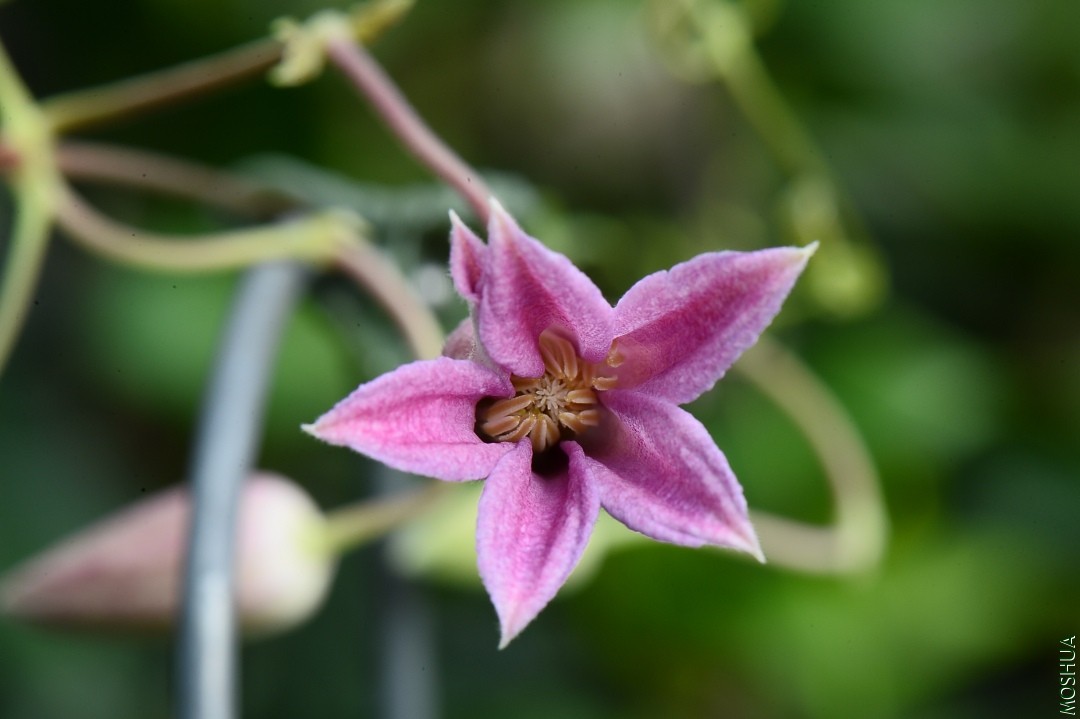 DSC_4922.JPG