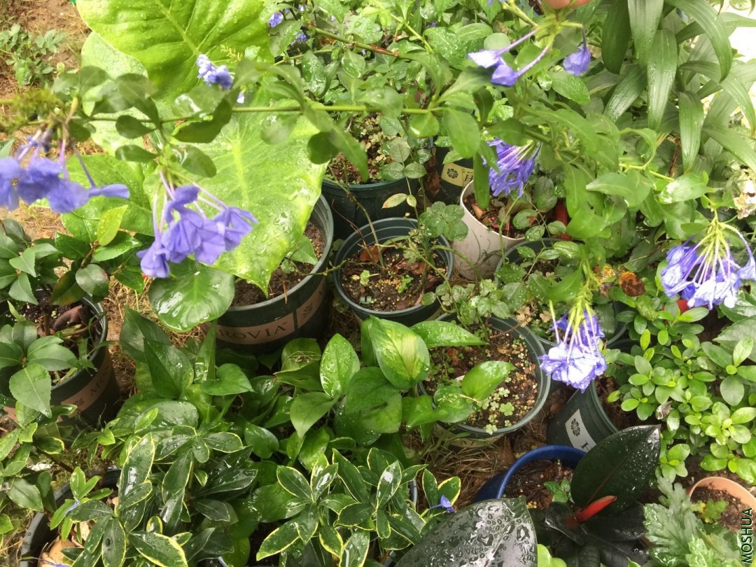 ΢��ͼƬ_20190708113950.jpg