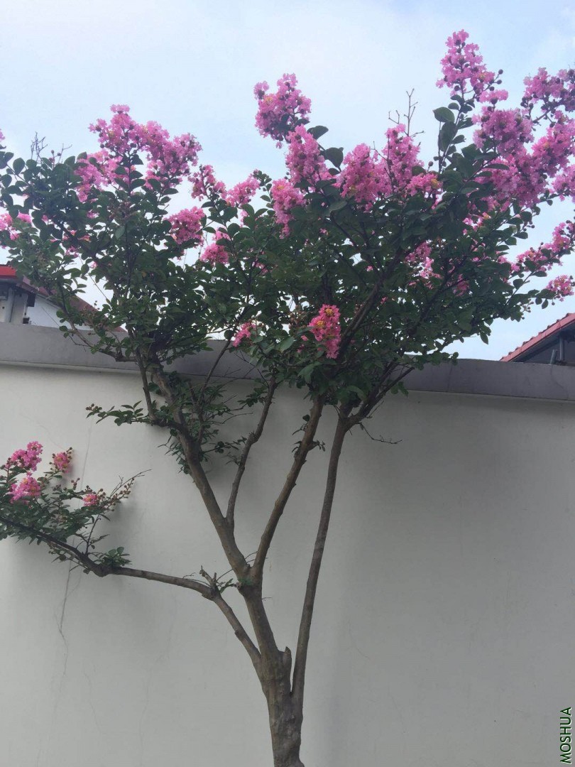 ΢��ͼƬ_20190708114031.jpg