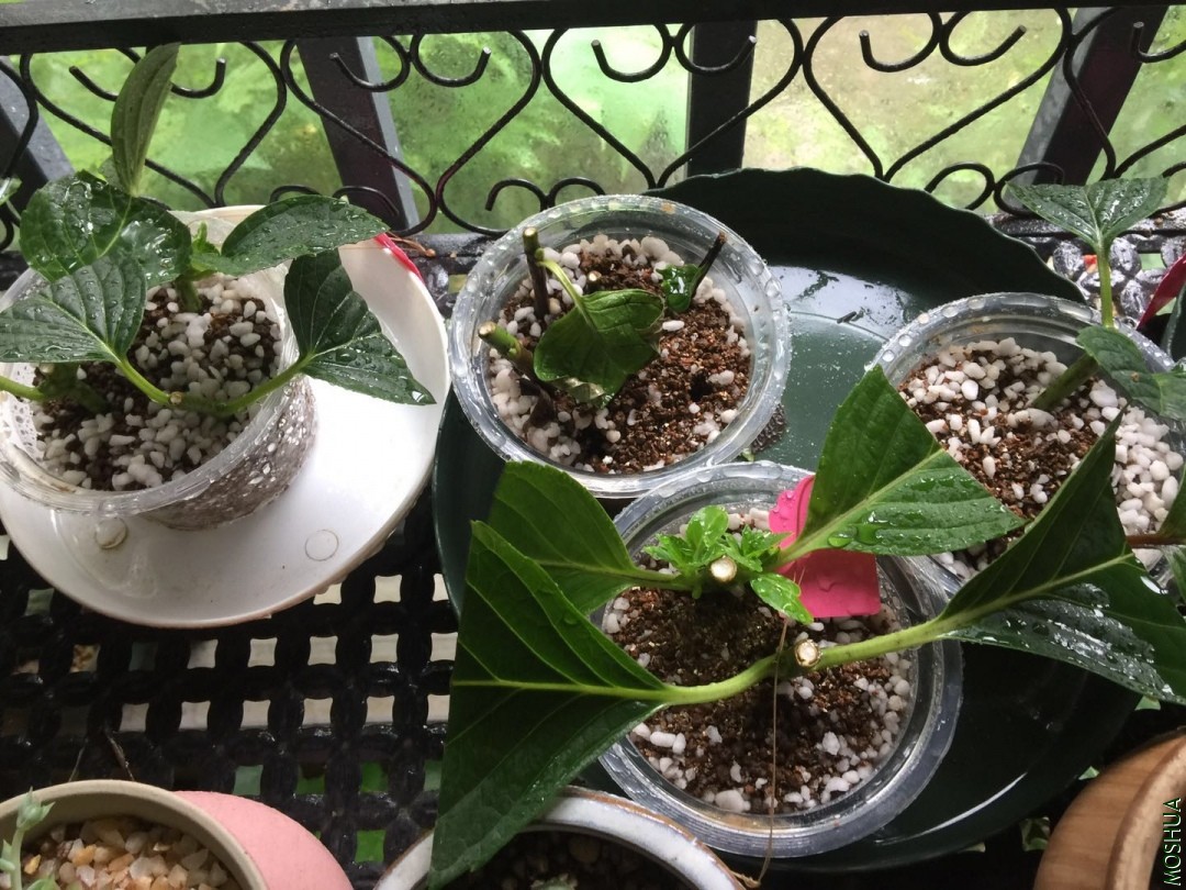 ΢��ͼƬ_20190708114005.jpg