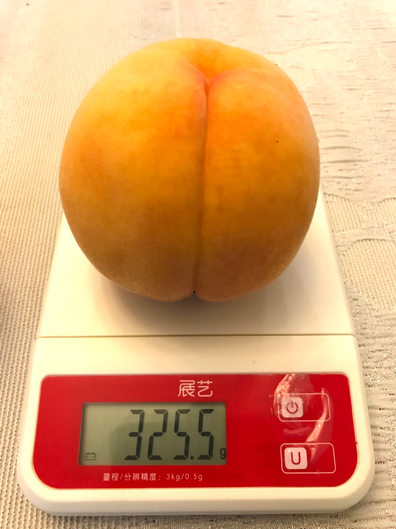 C818E4AB-D57F-4754-8FE1-0ADD380E4DEE.jpeg