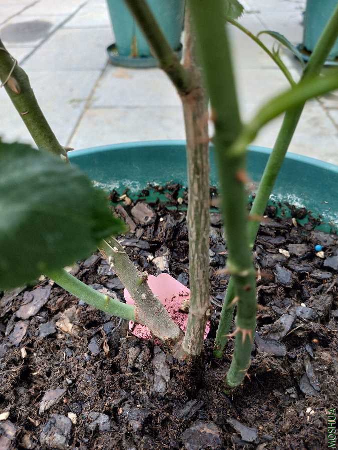 IMG20190709081542.jpg