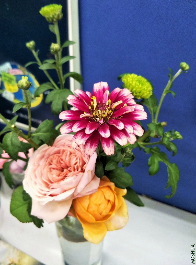 IMG20190709102913.jpg