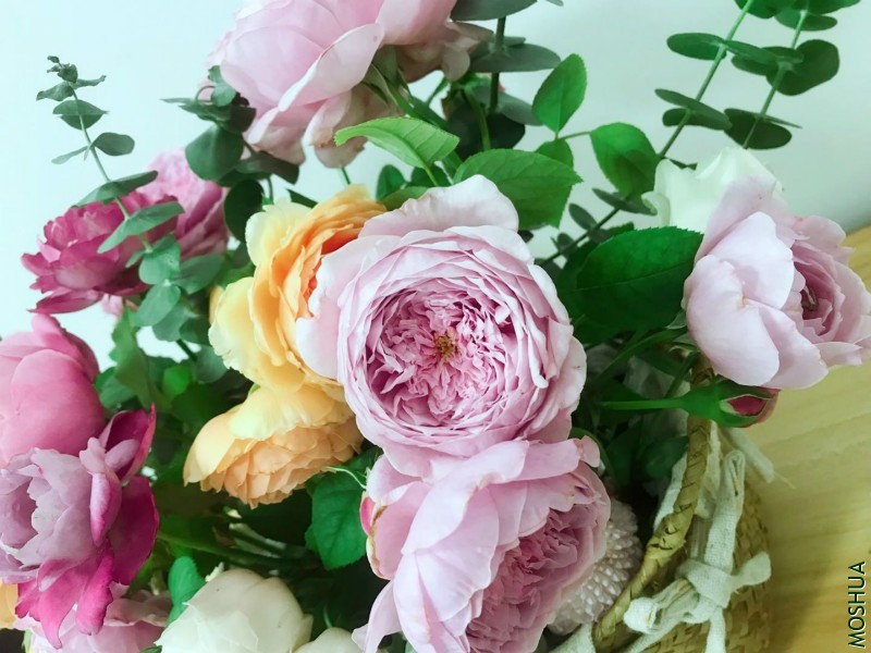 ΢��ͼƬ_20190709111728_meitu_2.jpg