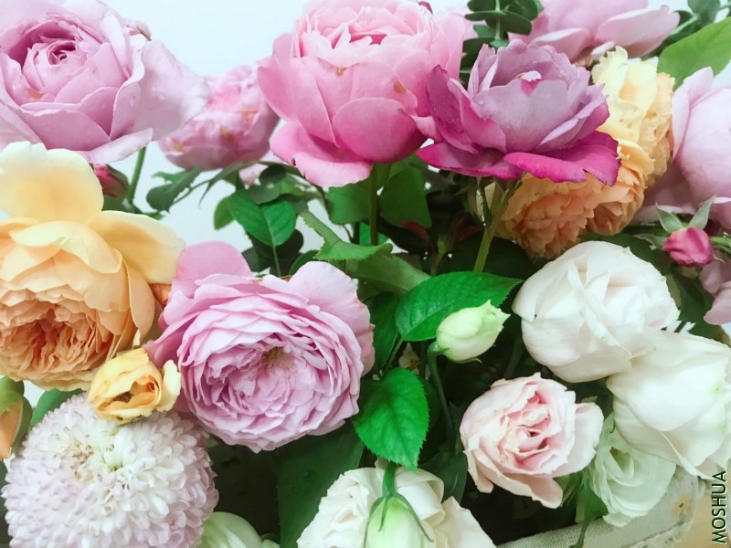 ΢��ͼƬ_20190709111732_meitu_3.jpg