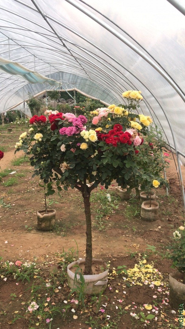 ΢��ͼƬ_20190711094214.jpg