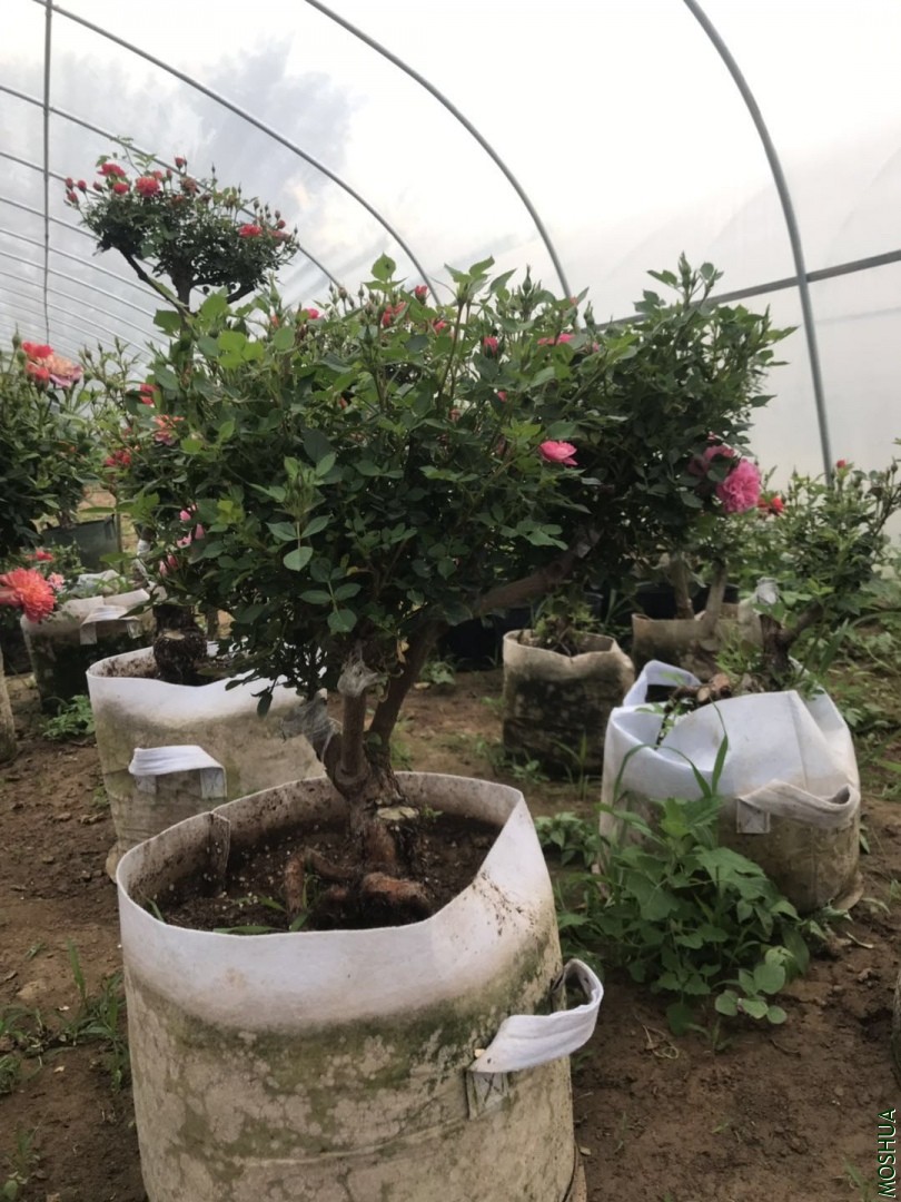 ΢��ͼƬ_20190711094314.jpg