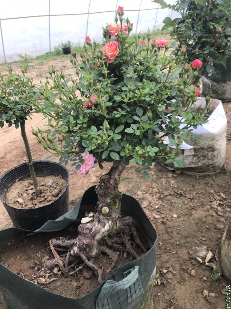 ΢��ͼƬ_20190711094324.jpg